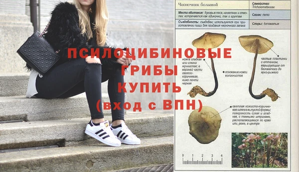 крисы Дмитровск