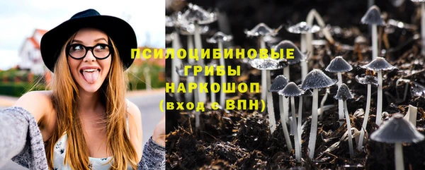 mdpv Дмитров