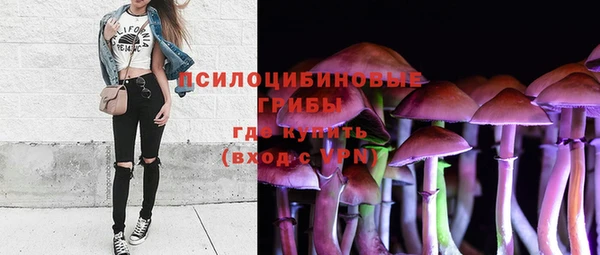 гидра Дмитриев