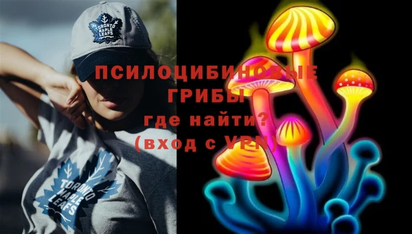 крисы Дмитровск