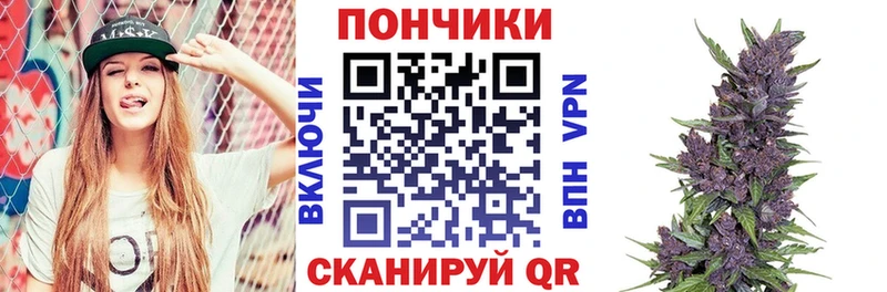 Конопля планчик  Купить закладки  Кологрив 
